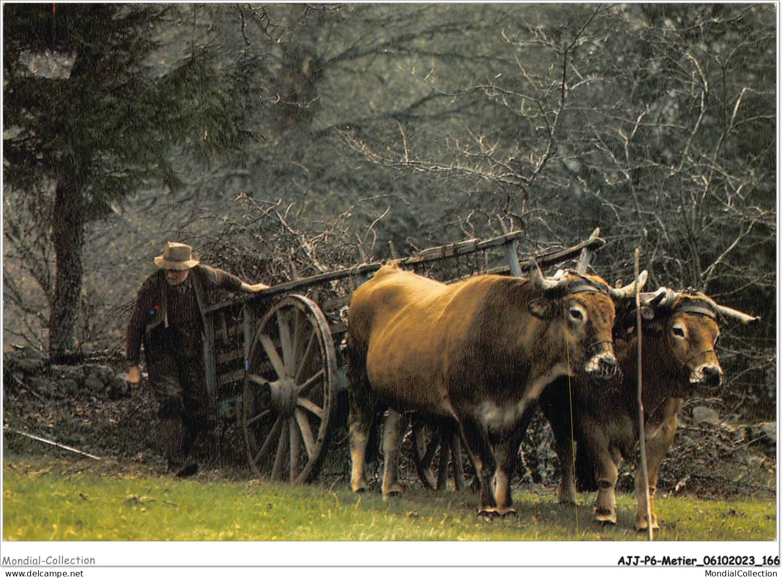 AJJP6-0590 - METIER - IMAGE DU LIMOUSIN PITTORESQUE  - Farmers