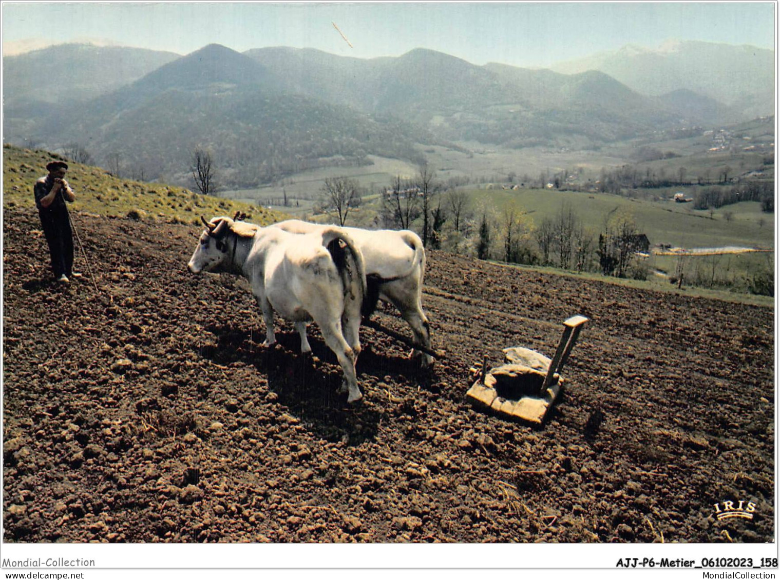 AJJP6-0586 - METIER - L'ATTELAGE  - Campesinos