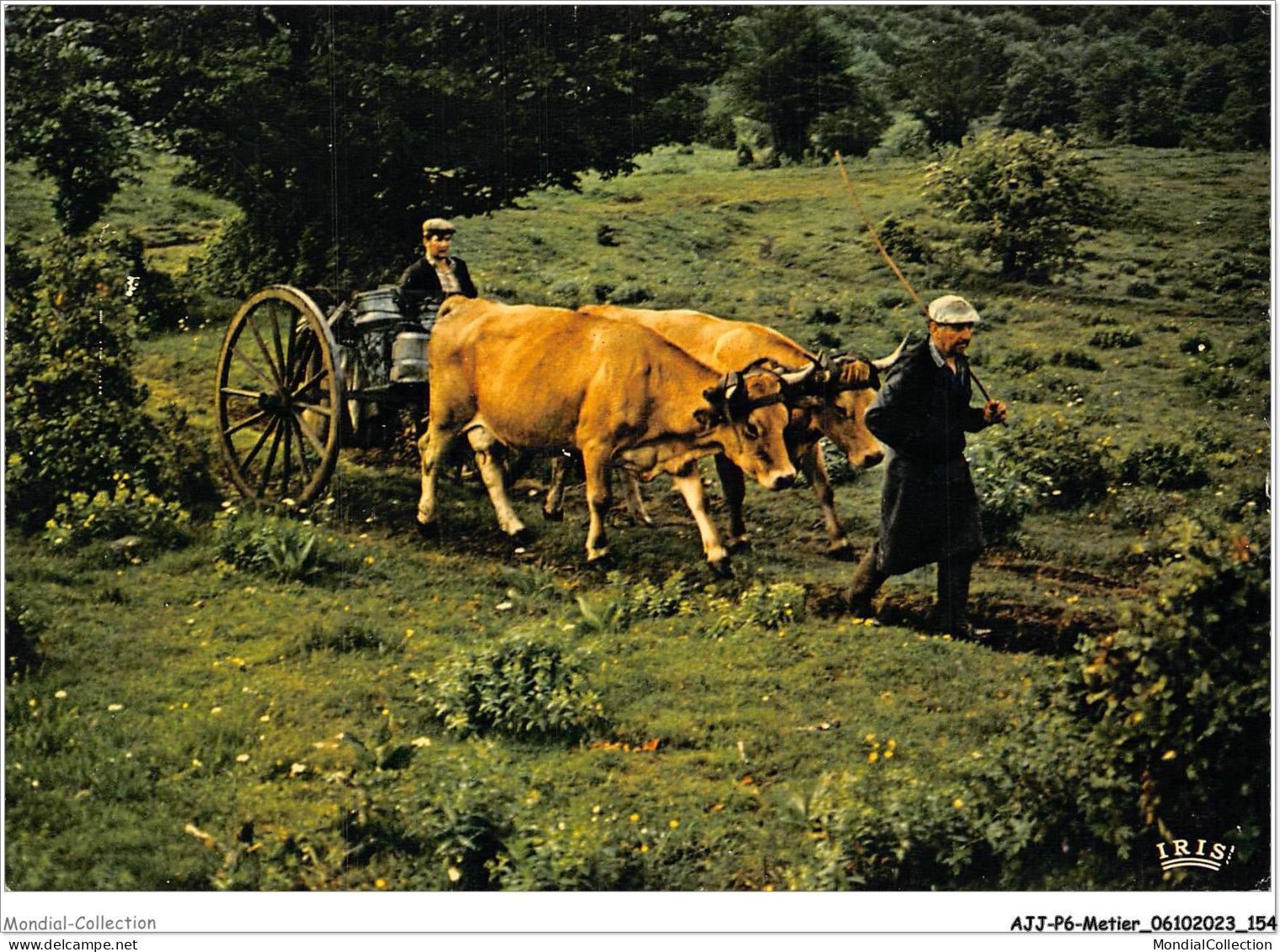 AJJP6-0584 - METIER - CHAQUE JOUR A LA MEME HEURE  - Farmers