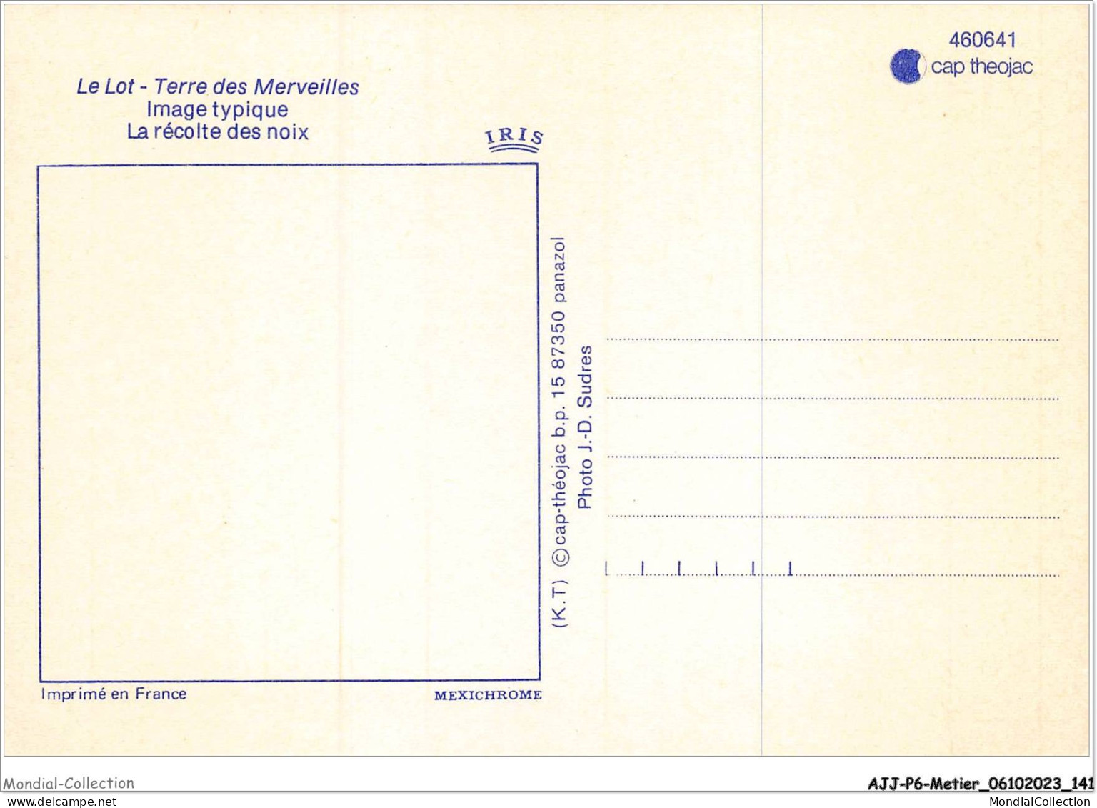 AJJP6-0577 - METIER - LE LOT - TERRE DES MERVEILLES - LA RECOLTE DES NOIX  - Farmers