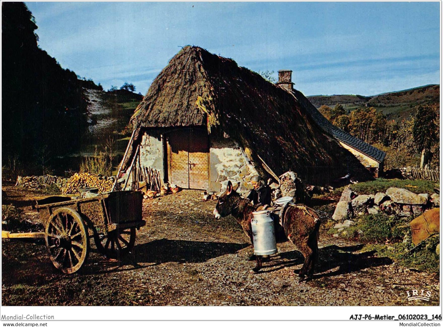 AJJP6-0580 - METIER - VIEUX BURON AU TOIT DE CHAUME  - Paysans