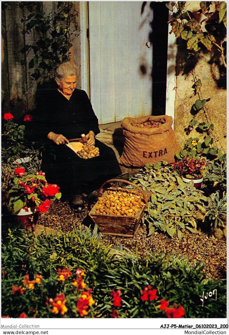 AJJP5-0505 - METIER - EN PERIGORD - PAYS DES TRUFFES ET DES CHATEAUX - CASSEUSE DE NOIX  - Bauern