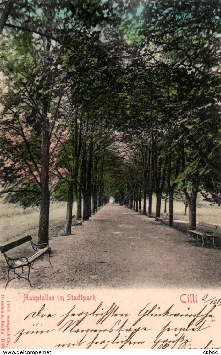 Celje, Celjski Park, 1904, Cilli, Hauptallee Im Stadpark, Štajerska, Steiermark, Mestni Park, Kompletna - Slovénie