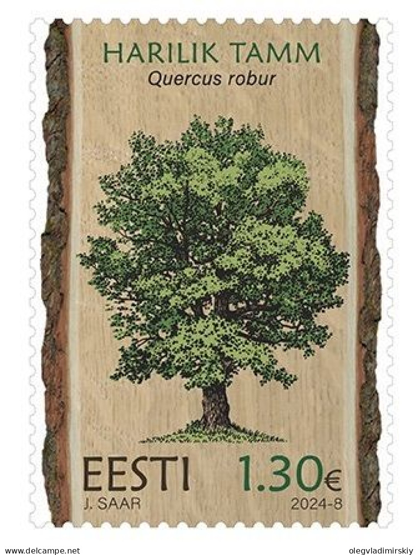 Estonia Estland Estonie 2024 Estonian Forest Trees - The Pendunculate (English) Oak Omniva Stamp MNH - Bäume