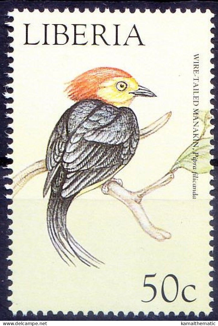 Wire Tailed Manakin, Birds, Liberia 1999 MNH - Uccelli Canterini Ed Arboricoli