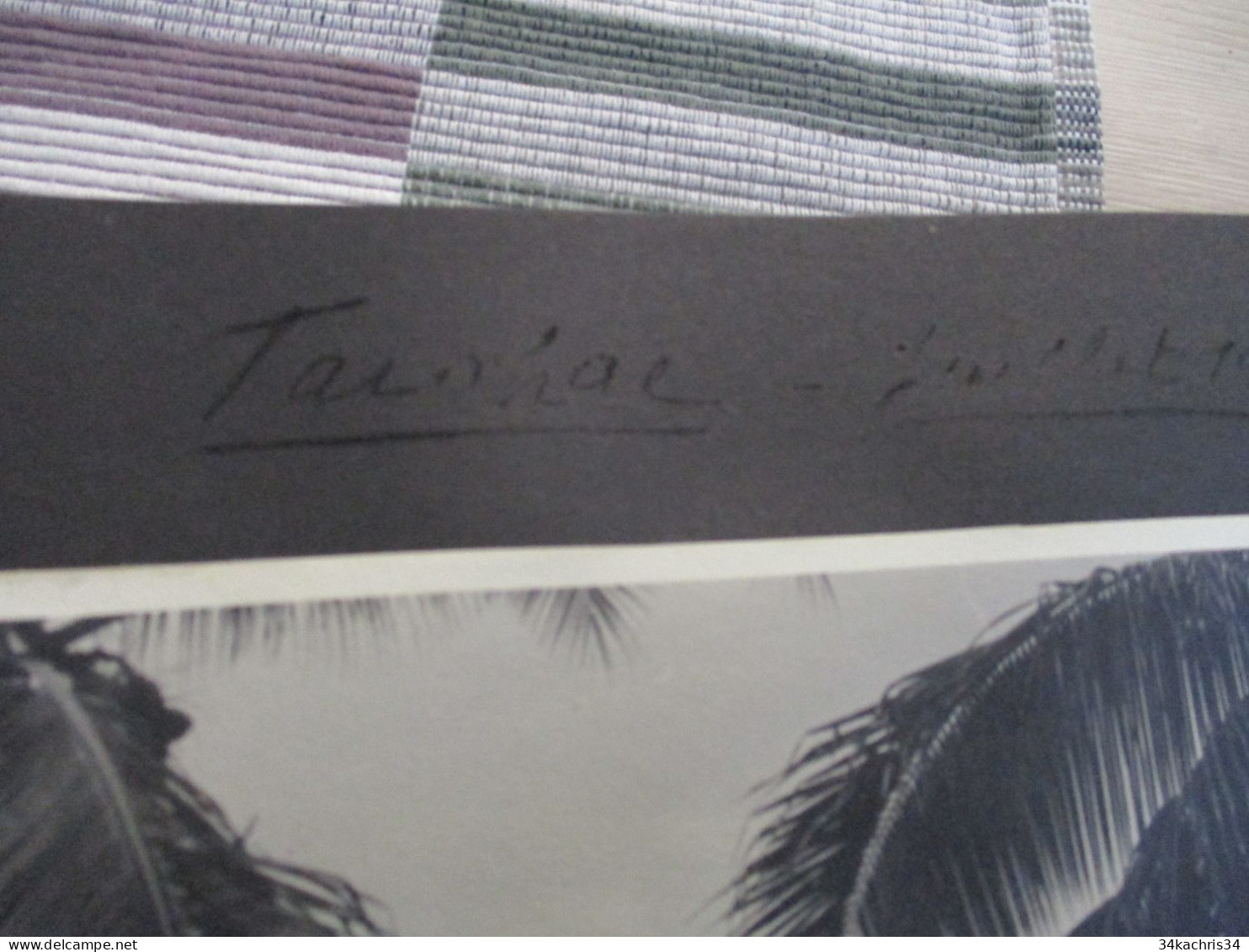 Album voyage  Sarvognan de Brazza  Campagne 1936 87 photos originales Wallis Auckland  Tahiti Tubuac Rapa .....