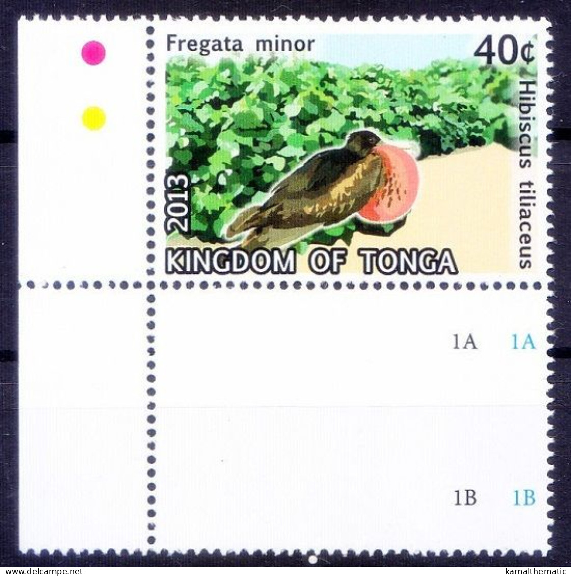 Great Frigatebird, Birds, Flowers, Sea Hibiscus, Tonga 2013 MNH Corner - Palomas, Tórtolas