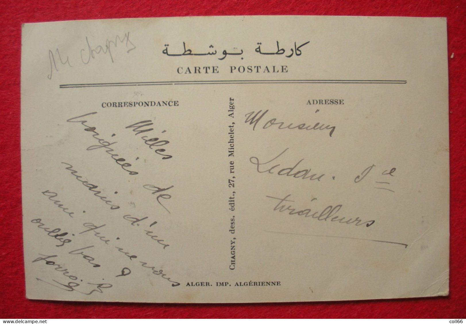 1916-18 Voyante Diseuse De Bonne Aventure Carte Postale Par Chagny éditeur Imp Algérienne Dos Scanné - Chagny