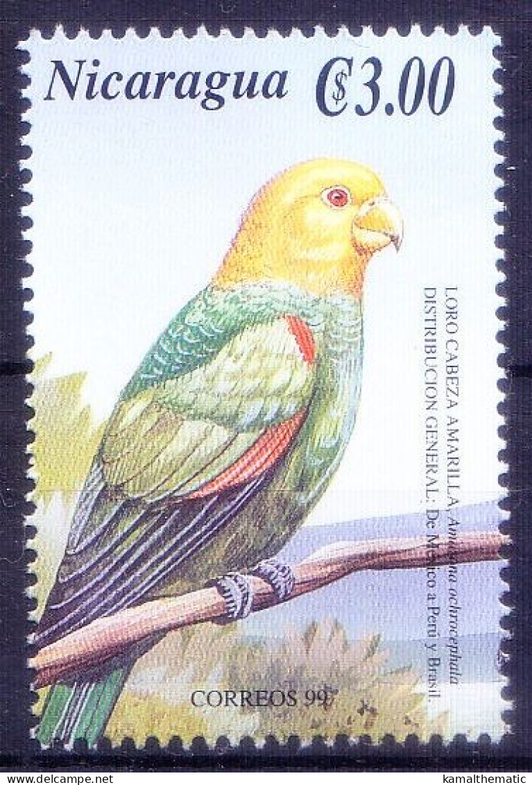 Nicaragua 2000 MNH, The Yellow-headed Parrot Or Parrot King, Parrots, Birds - Papegaaien, Parkieten