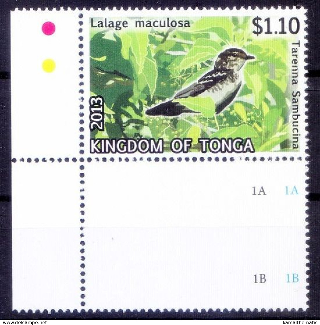 Polynesian Triller, Birds, Tonga MNH 2013 Corner - Songbirds & Tree Dwellers