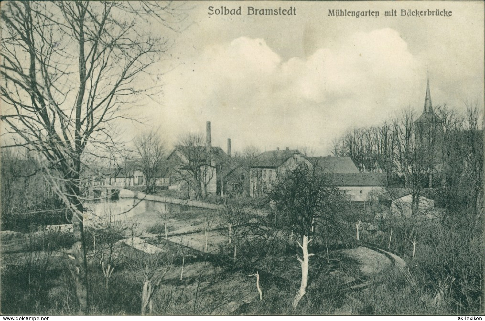 Ansichtskarte Bad Brambach Mühlengarten Mit Bäckerbrücke 1906  - Bad Brambach