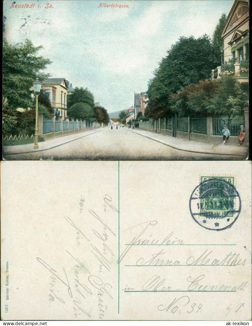 Ansichtskarte Neustadt (Sachsen) Albertstraße 1911  - Neustadt