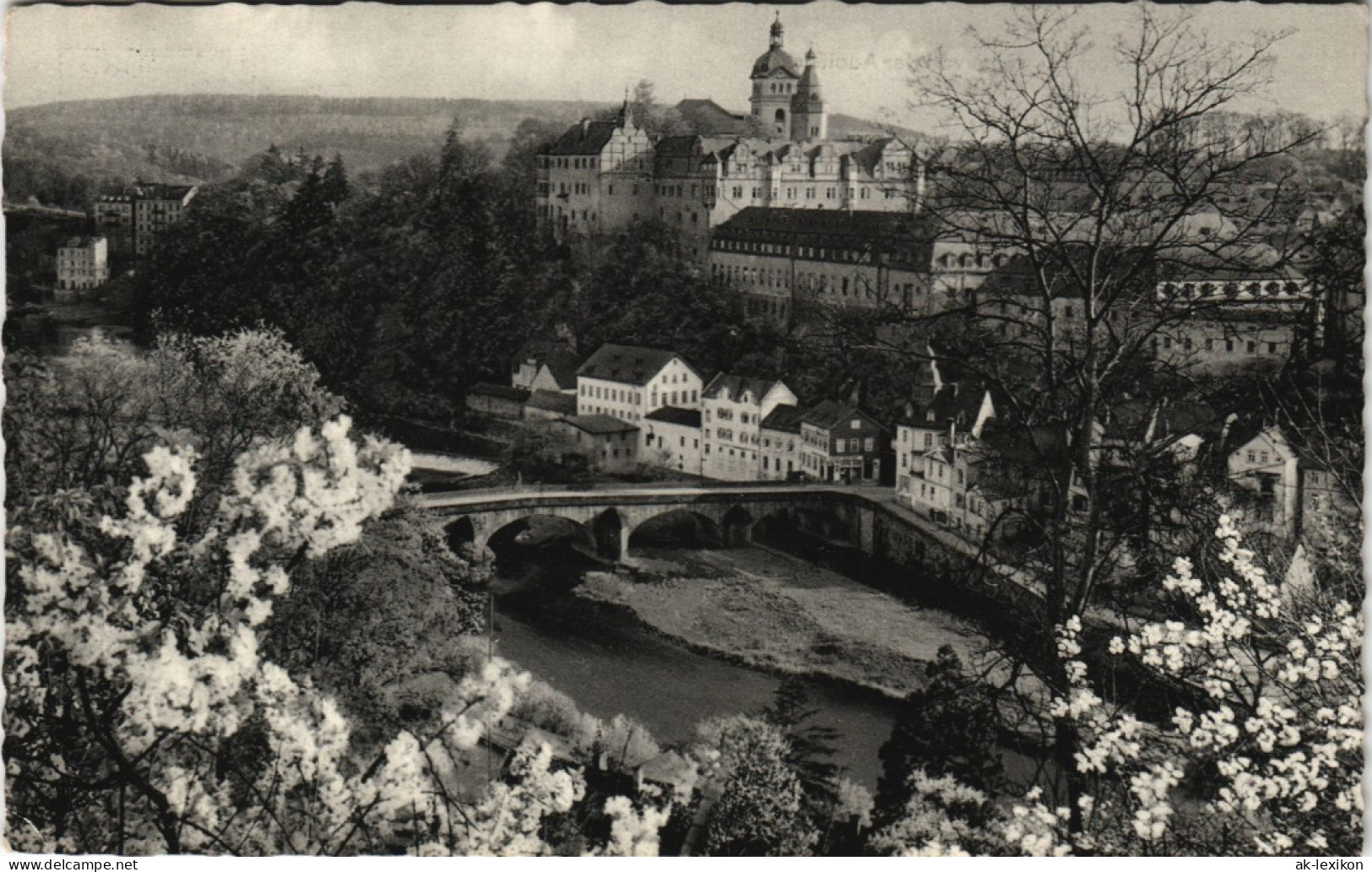 Ansichtskarte Weilburg (Lahn) Blick Durch Die Baumblüte Auf Die Stadt 1962 - Weilburg