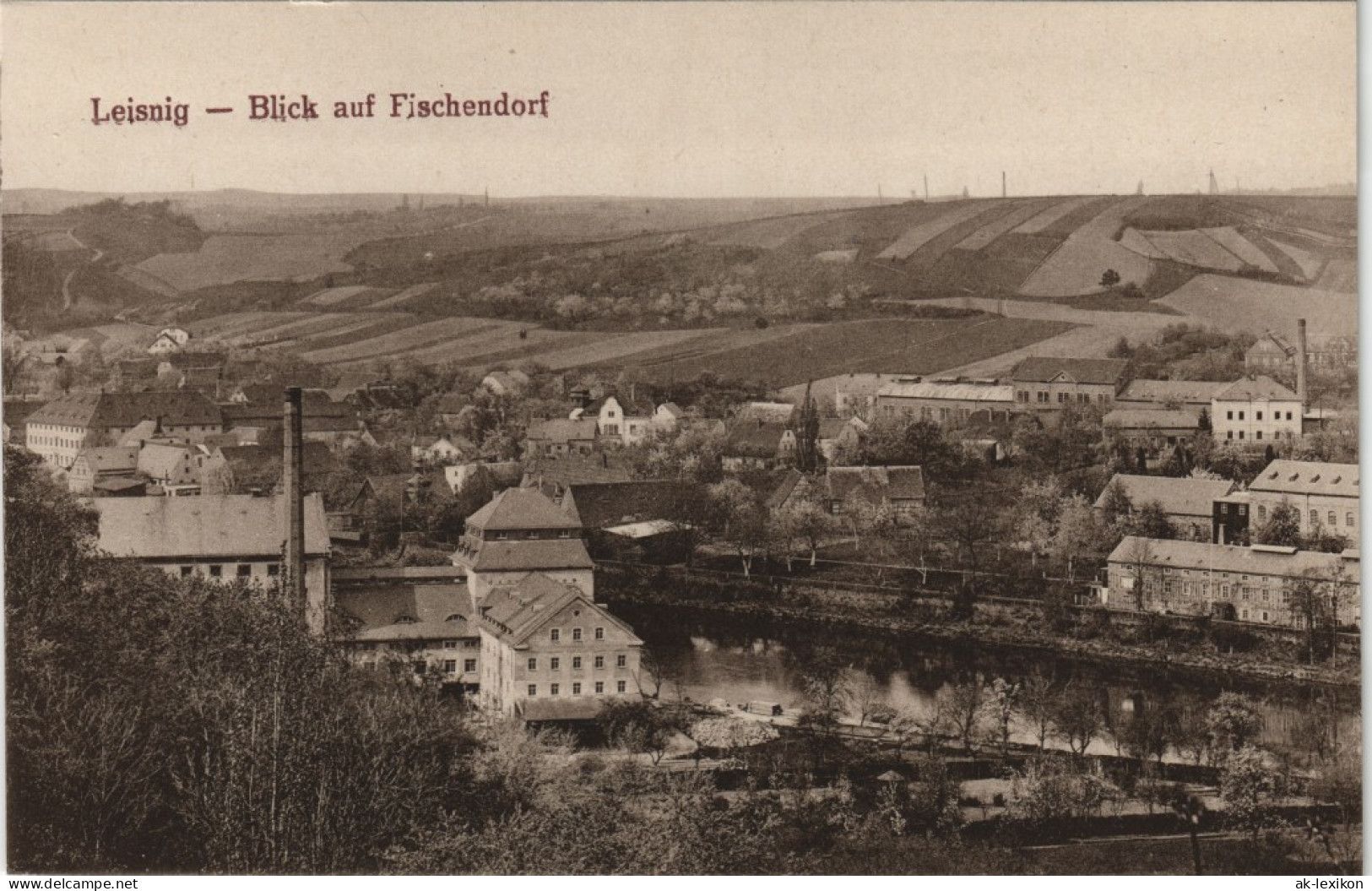 Ansichtskarte Leisnig Blick Auf Fischendorf 1917 - Leisnig