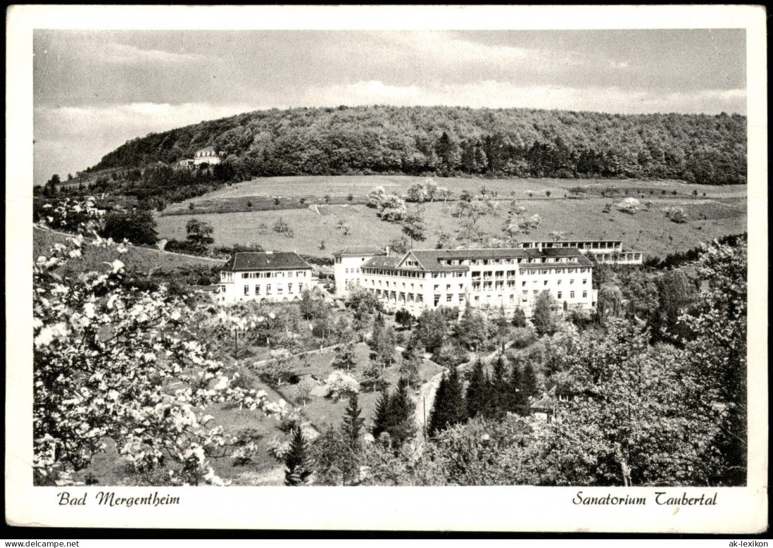 Ansichtskarte Bad Mergentheim Taubertal Sanatorium 1955 - Bad Mergentheim