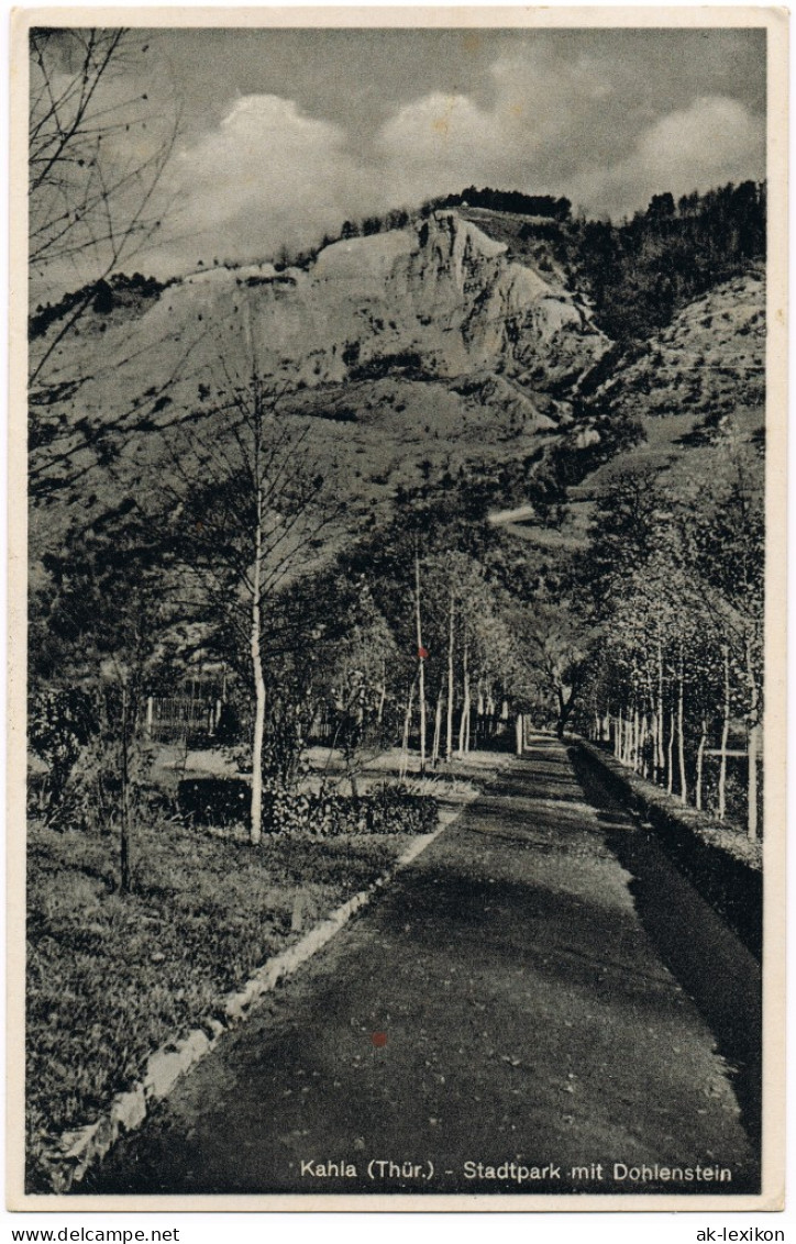 Ansichtskarte Kahla (Thüringen) Stadtpark Mit Dohlenstein 1941 - Kahla