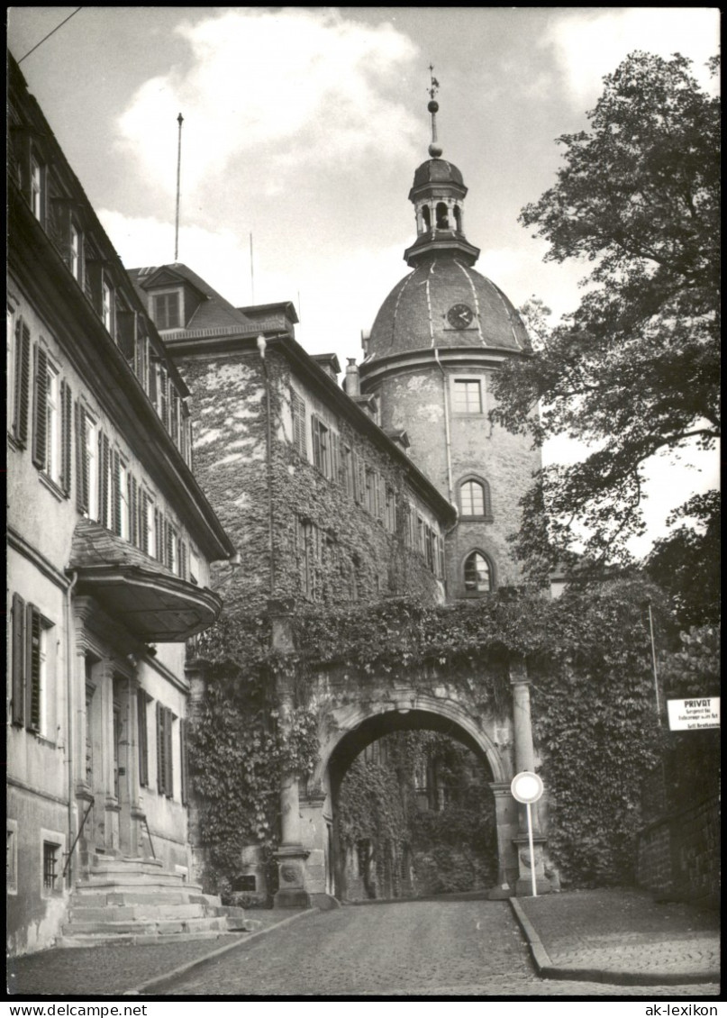 Ansichtskarte Laubach (Hessen) Straßenpartie - Eingang Zum Schloß 1979 - Laubach