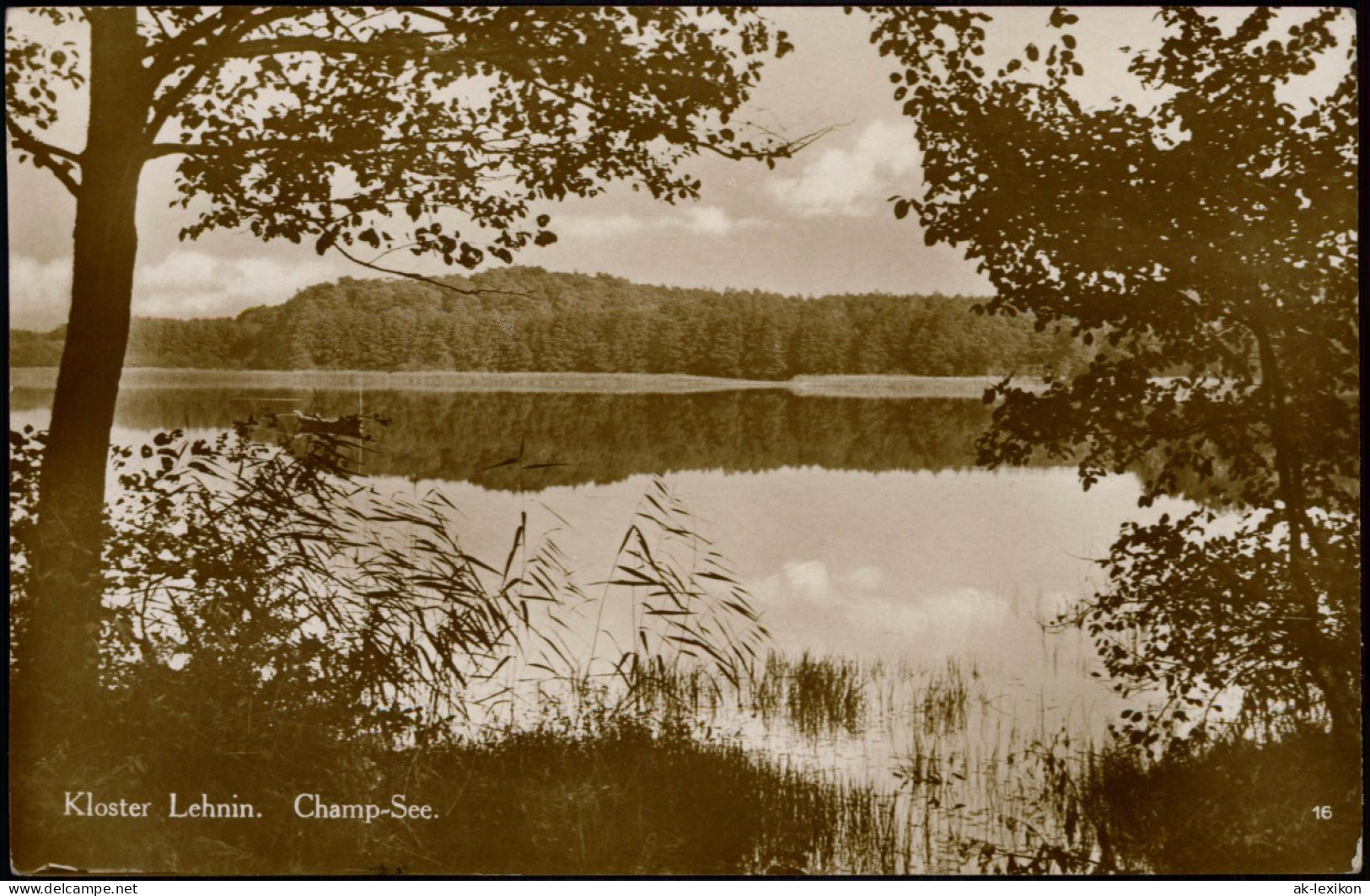 Lehnin-Kloster Lehnin Partie Am Champ-See Umland Ansicht Echtfoto-AK 1920 - Lehnin