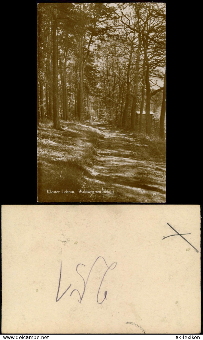 Lehnin-Kloster Lehnin Waldweg Am Schütt Umland-Ansicht Echtfoto-AK 1920 - Lehnin