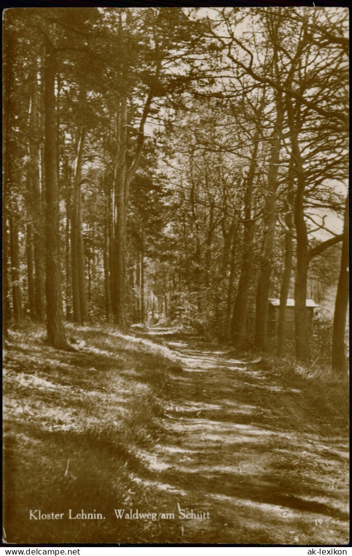 Lehnin-Kloster Lehnin Waldweg Am Schütt Umland-Ansicht Echtfoto-AK 1920 - Lehnin