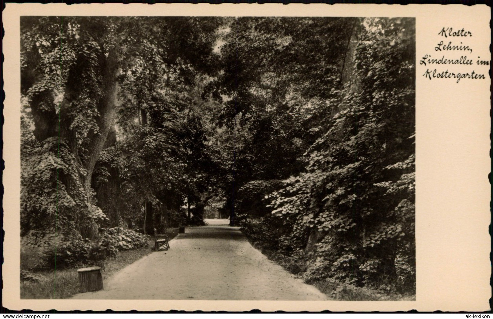 Ansichtskarte Lehnin-Kloster Lehnin Lindenallee Im Klostergarten 1920 - Lehnin