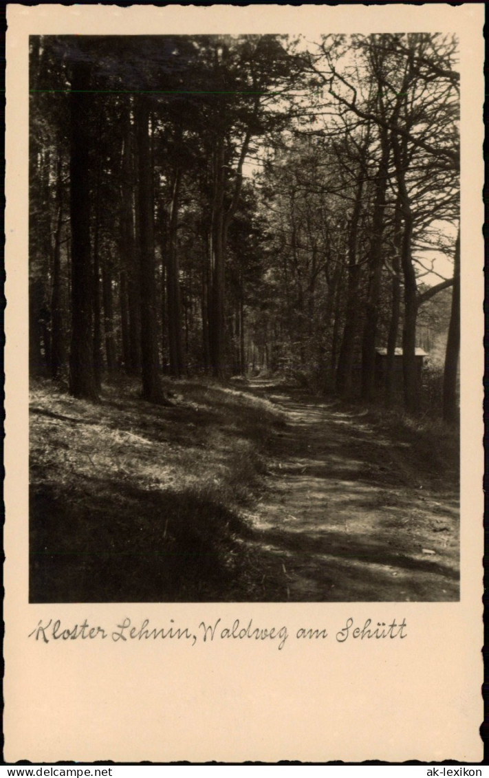Ansichtskarte Lehnin-Kloster Lehnin Umland-Partie Waldweg Am Schütt 1920 - Lehnin