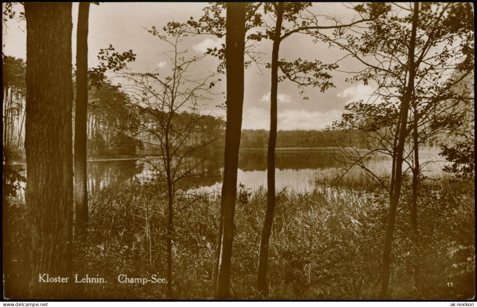 Ansichtskarte Lehnin-Kloster Lehnin Umland-Ansicht Champ-See Partie 1920 - Lehnin