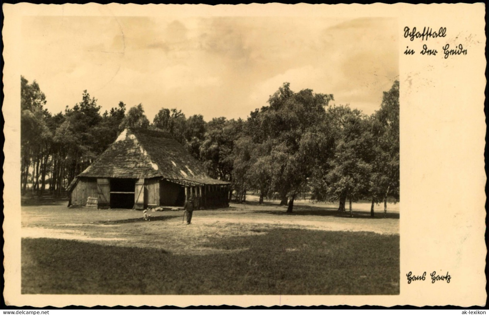 Ansichtskarte  Schafstall In Der Heide 1941 - Non Classés