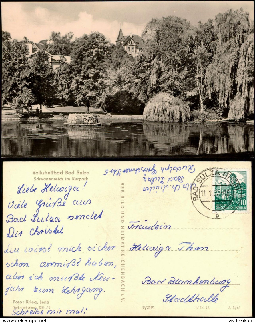 Ansichtskarte Bad Sulza Schwanentelch Im Kurpark DDR AK 1962/1961 - Bad Sulza