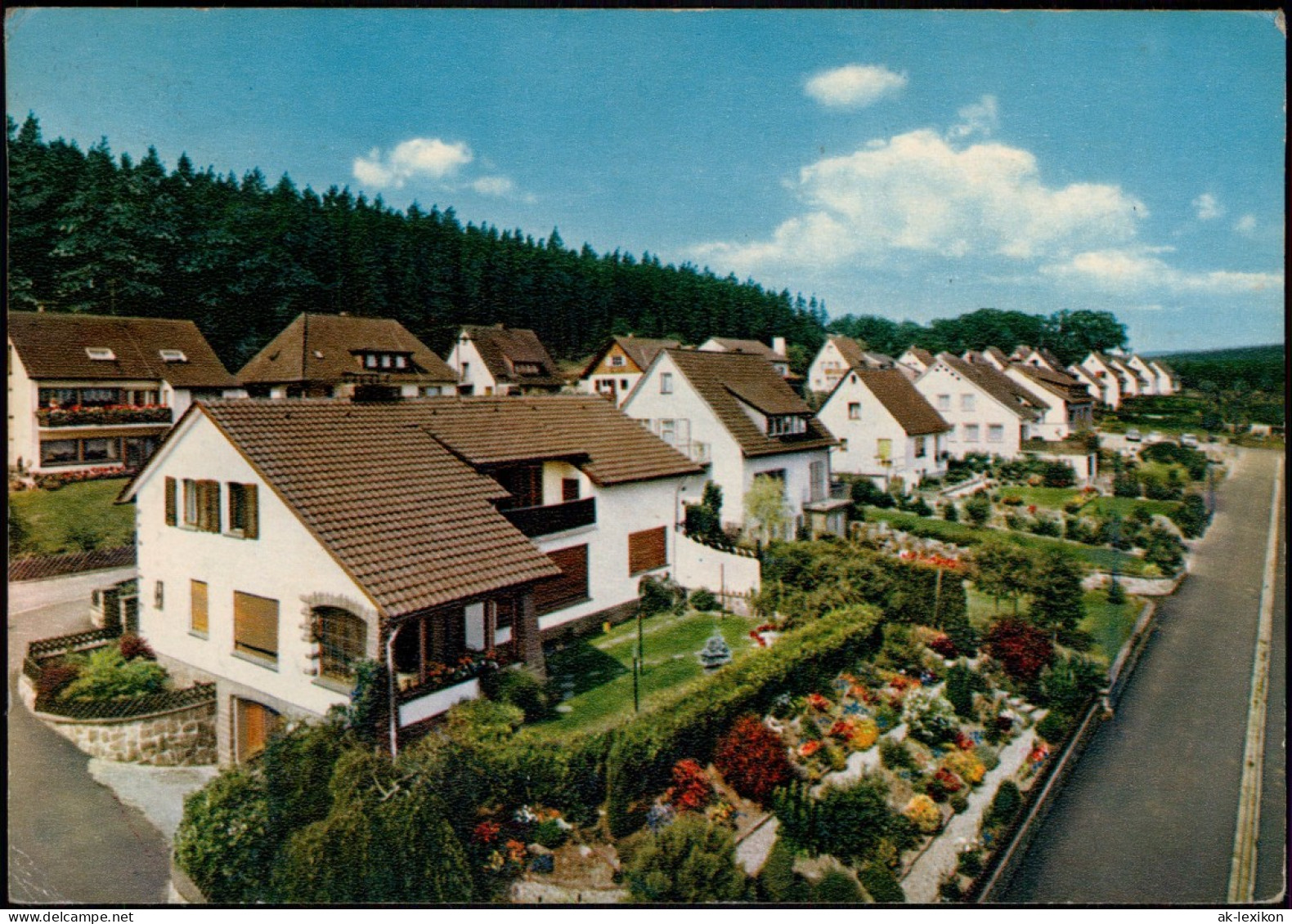 Ansichtskarte Neuhaus Im Solling-Holzminden Pensionen Am Mädchenberg 1965 - Holzminden