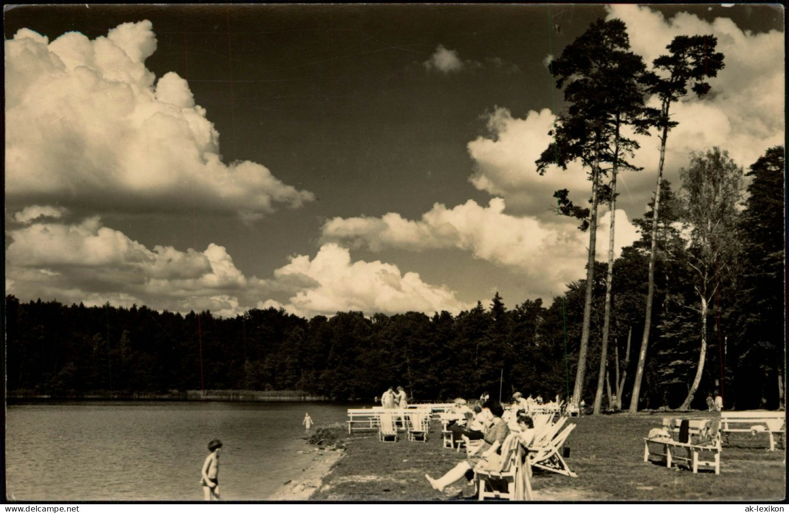 Ansichtskarte Neuglobsow-Stechlin Badestrand Am Stechlin-See Wald 1960 - Neuglobsow