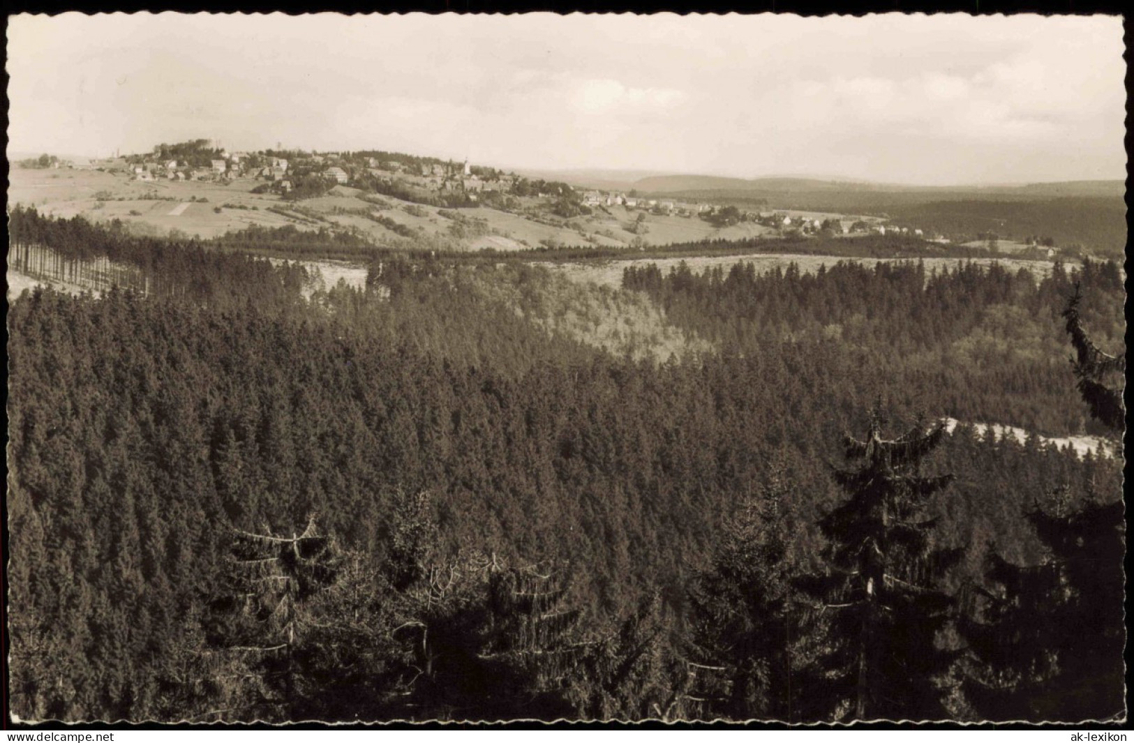Ansichtskarte Hohegeiß-Braunlage Panorama-Ansicht Blick Vom Spitzenberg 1956 - Braunlage