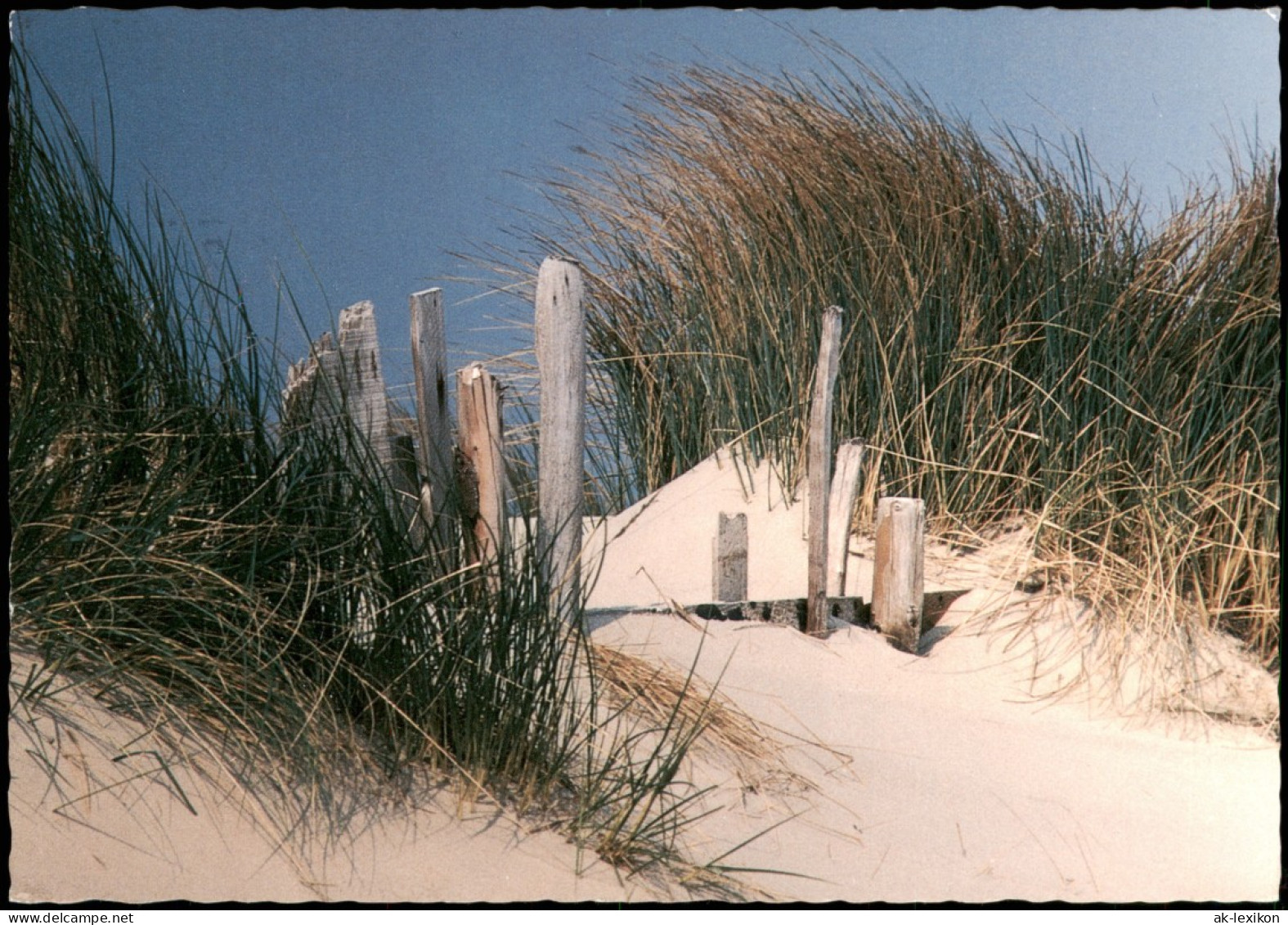 Ansichtskarte  Meer Nordsee In Den Nordseedünen Dünen Bild 2000 - Non Classés