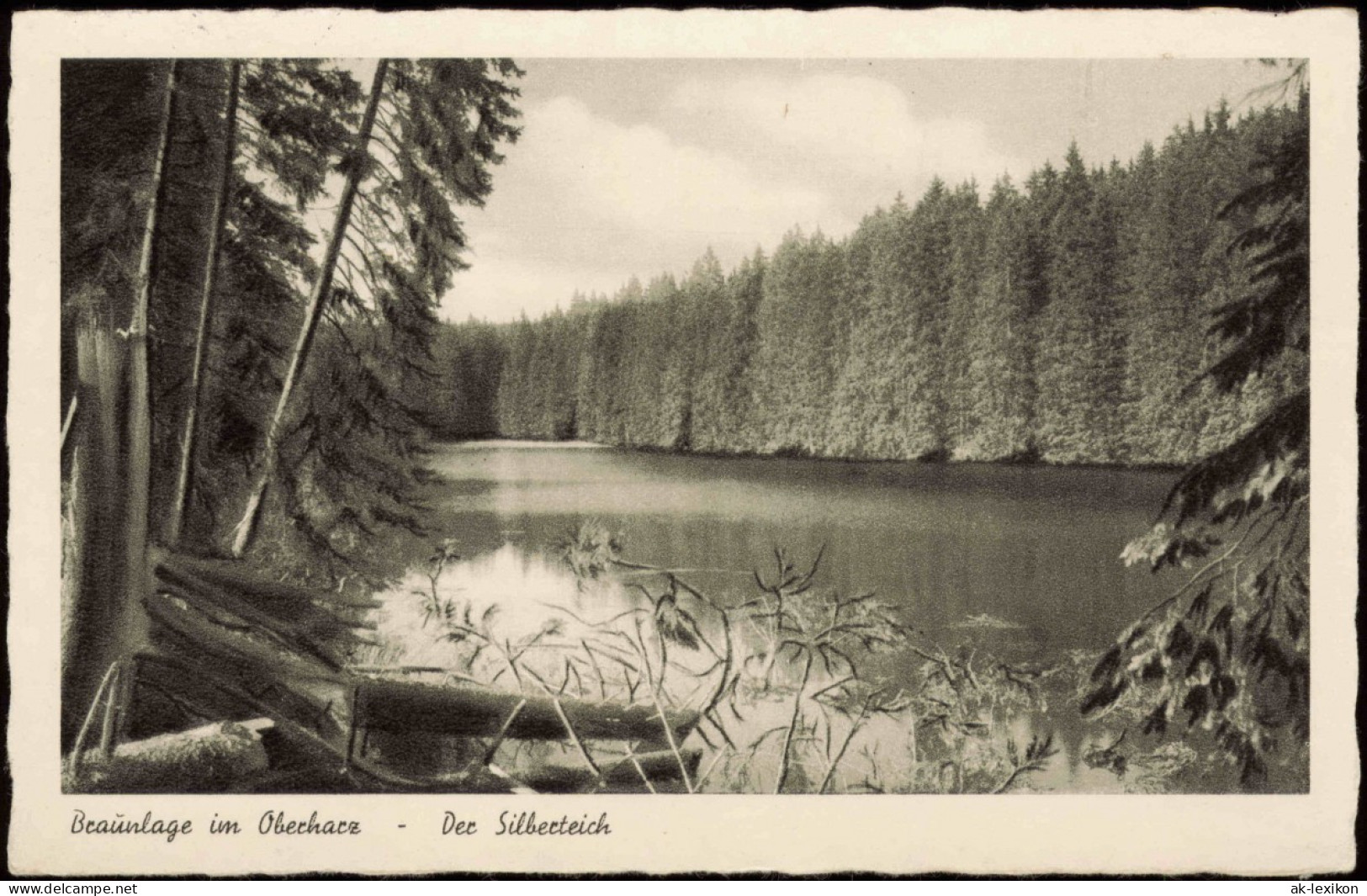 Ansichtskarte Braunlage Umland-Ansicht Der Silberteich Oberharz 1953 - Braunlage