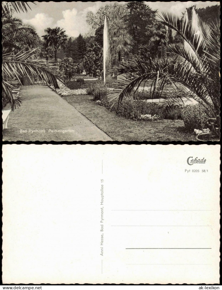Ansichtskarte Bad Pyrmont Palmengarten Palmen Botanik 1958 - Bad Pyrmont