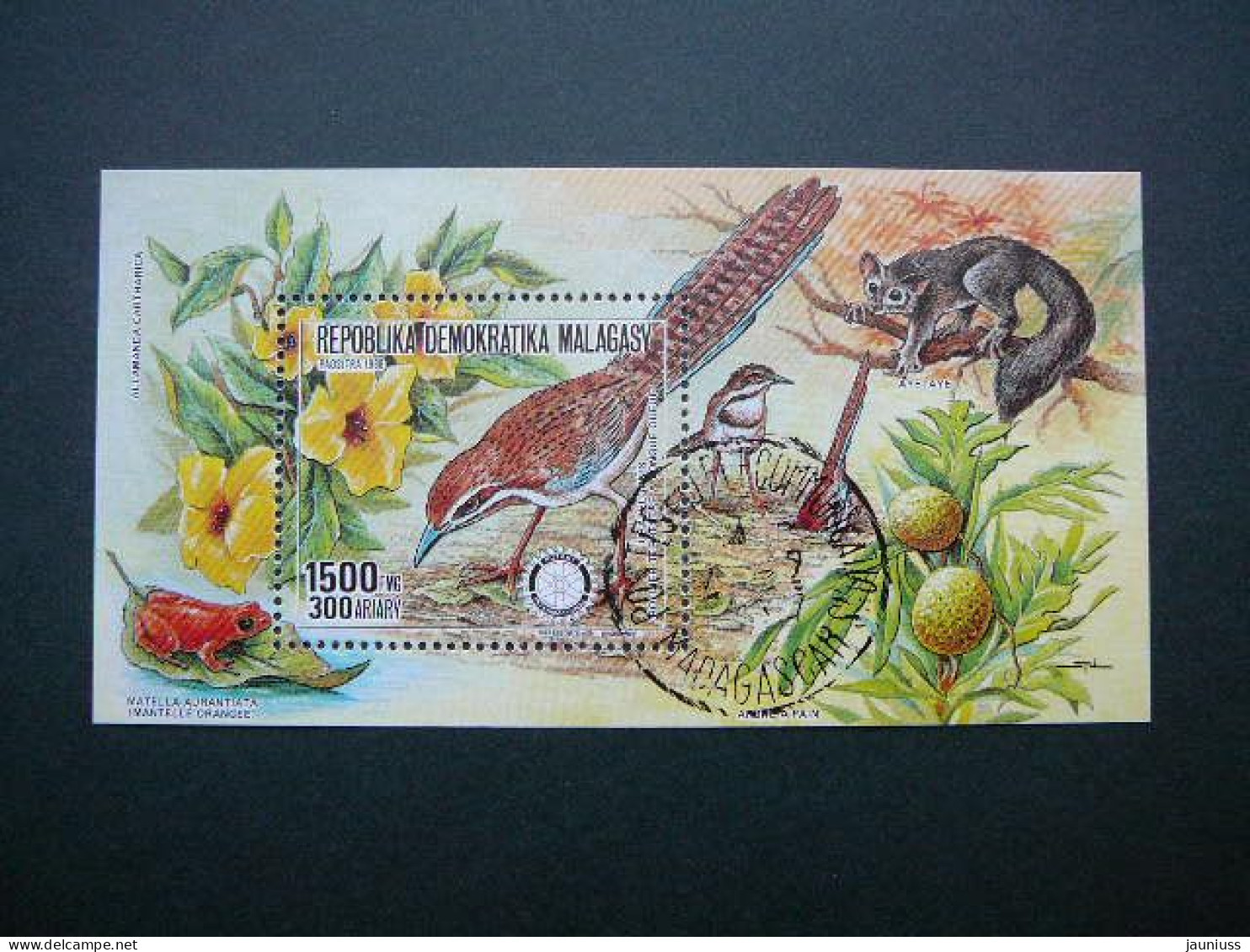 Frogs Birds Rotary # Madagaskar # 1988 Used #43  Malagasy - Ranas