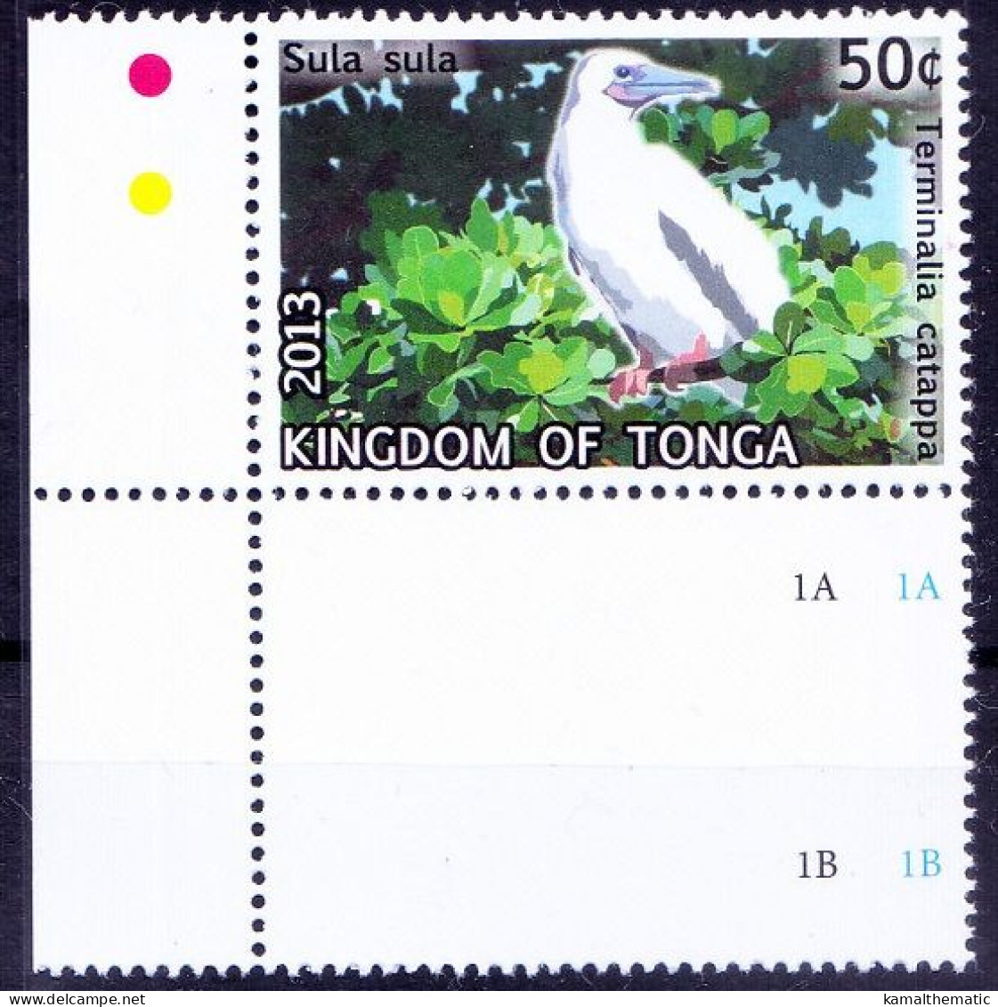 Red-footed Booby, Sea Birds, Tonga 2013 MNH Corner - Albatros & Stormvogels
