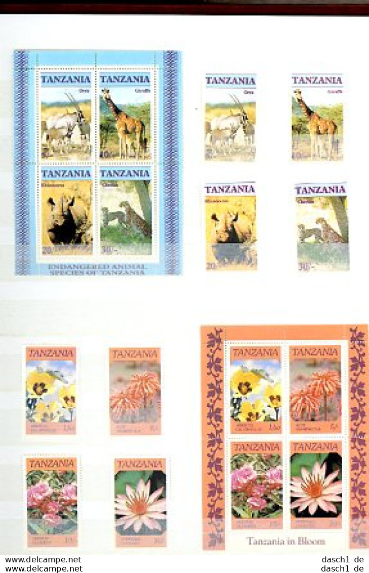 Libyen Und Tansania Im Neuen 8-seitigem Album, KW Ca. Mi Euro  70 - Tansania (1964-...)