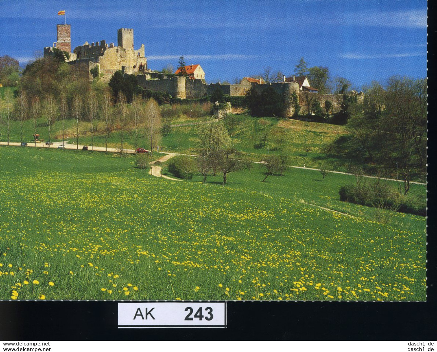 AK243, AK Nicht Gelaufen, Lörrach Um 1970, Burgruine Rötteln - Lörrach