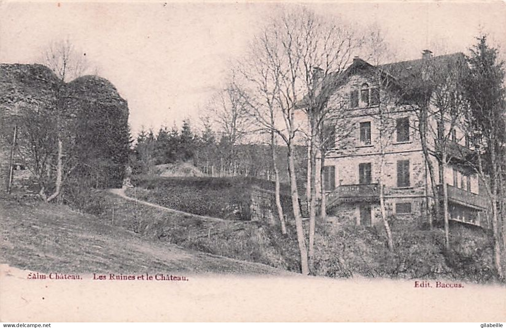 Vielsam - SALM CHATEAU - Les Ruines Et Le Chateau - 1903 - Vielsalm