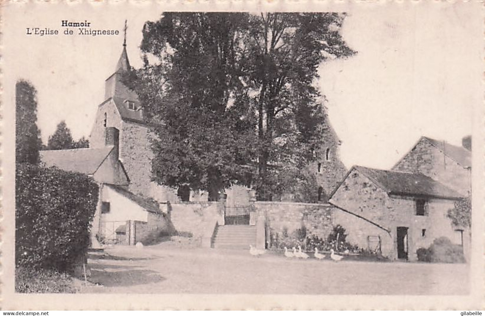 Liege - HAMOIR - L'église De Xhignesse - Hamoir