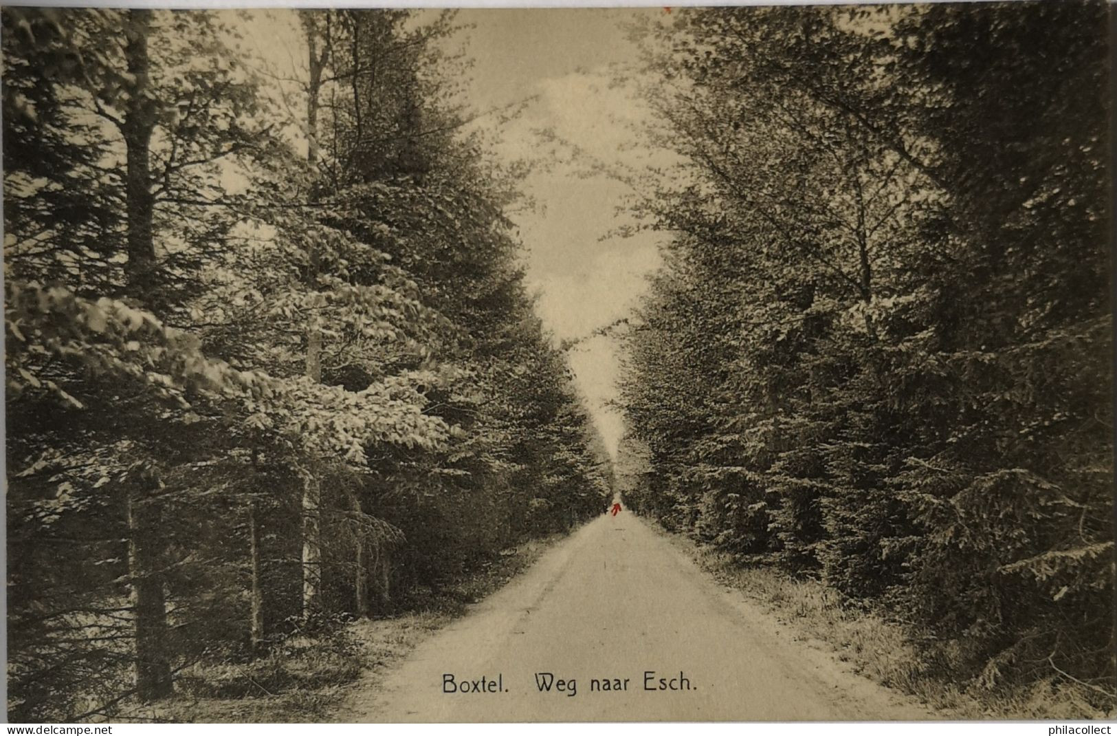 Boxtel (N - Br.) Weg Naar Esch. 1938 - Boxtel