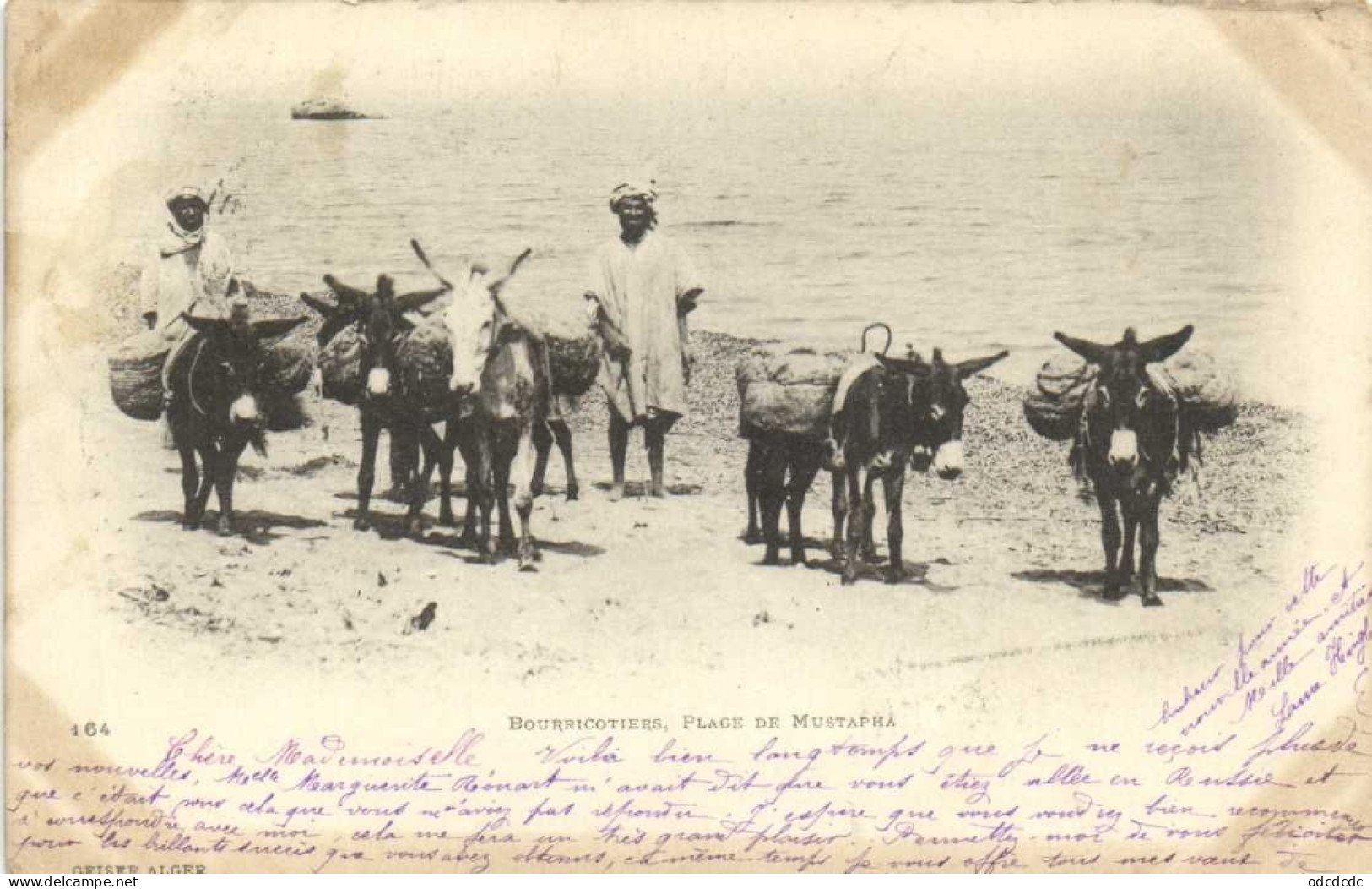 BOURRICOTIERS  Plage De Mustapha Pionnière RV - Hommes