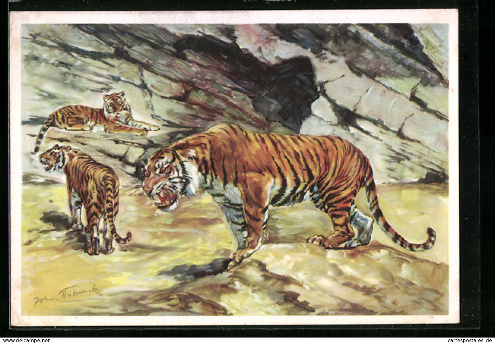 Künstler-AK Tiger, 3 Tiere In Der Schlucht, Carl Hagenbecks Tierpark  - Tigri
