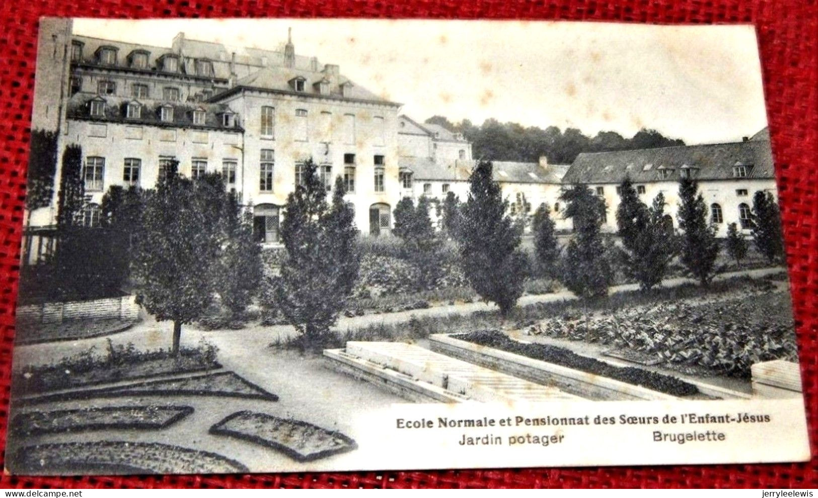 BRUGELETTE  -  Ecole Normale Et Pensionnat Des Soeurs De L'Enfant Jésus - Jardin Potager - Brugelette