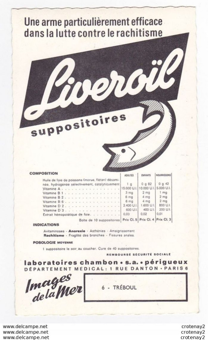 29 TREBOUL N°6 Carte Grand Format 18 X 11 VOIR DOS Pub Suppositoires Liveroïl Labos Chambon à Périgueux - Tréboul