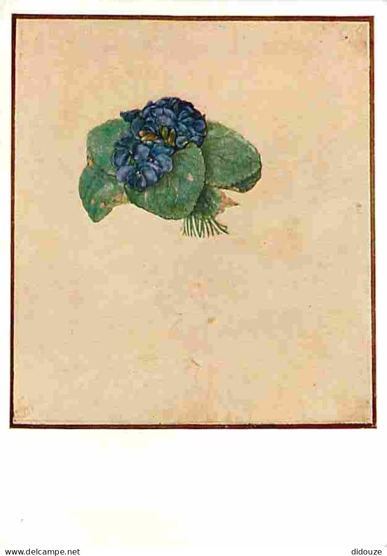 Art - Peinture - Albrecht Durer - Small Bunch Of Violetts - CPM - Voir Scans Recto-Verso - Malerei & Gemälde