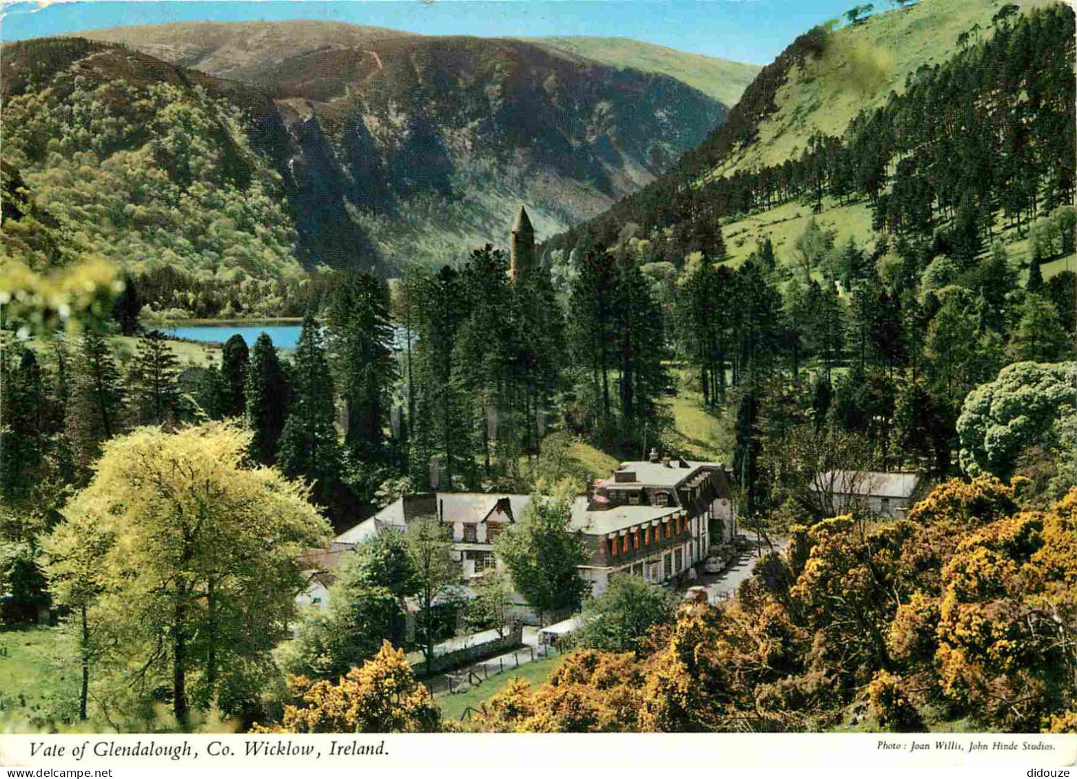 Irlande - Wicklow - Vale Of Glendalough - CPM - Voir Scans Recto-Verso - Wicklow