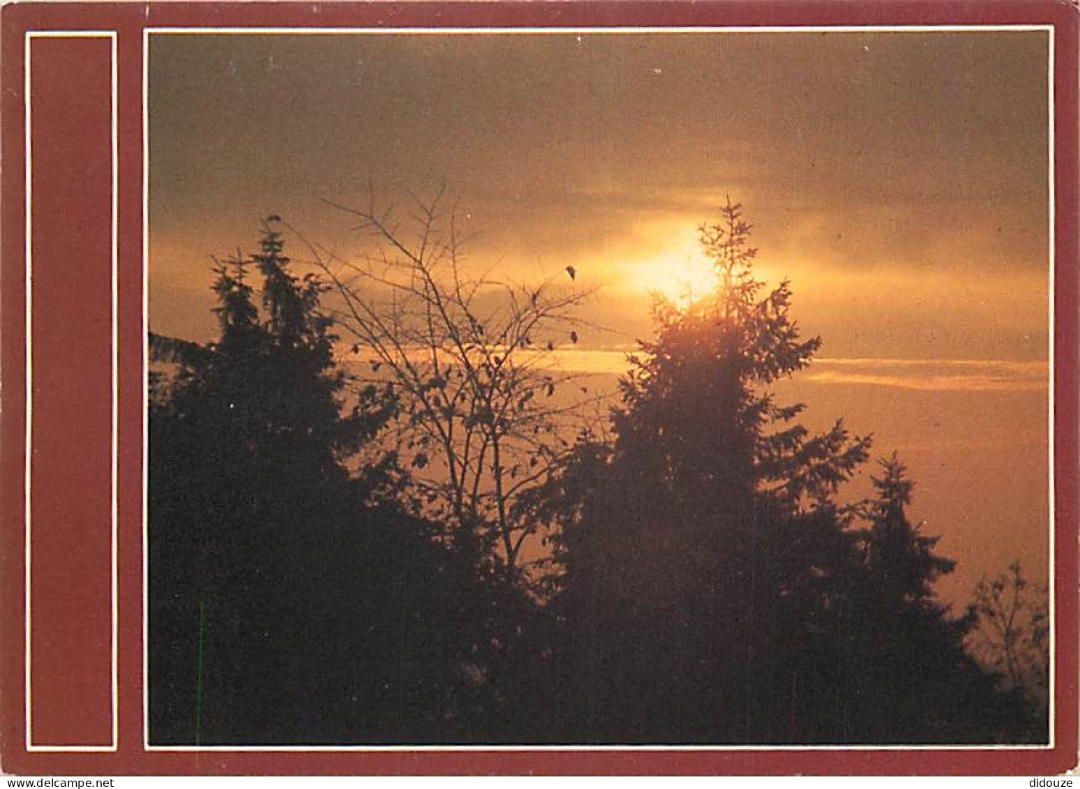 Coucher De Soleil - CPM - Voir Scans Recto-Verso - Contre La Lumière