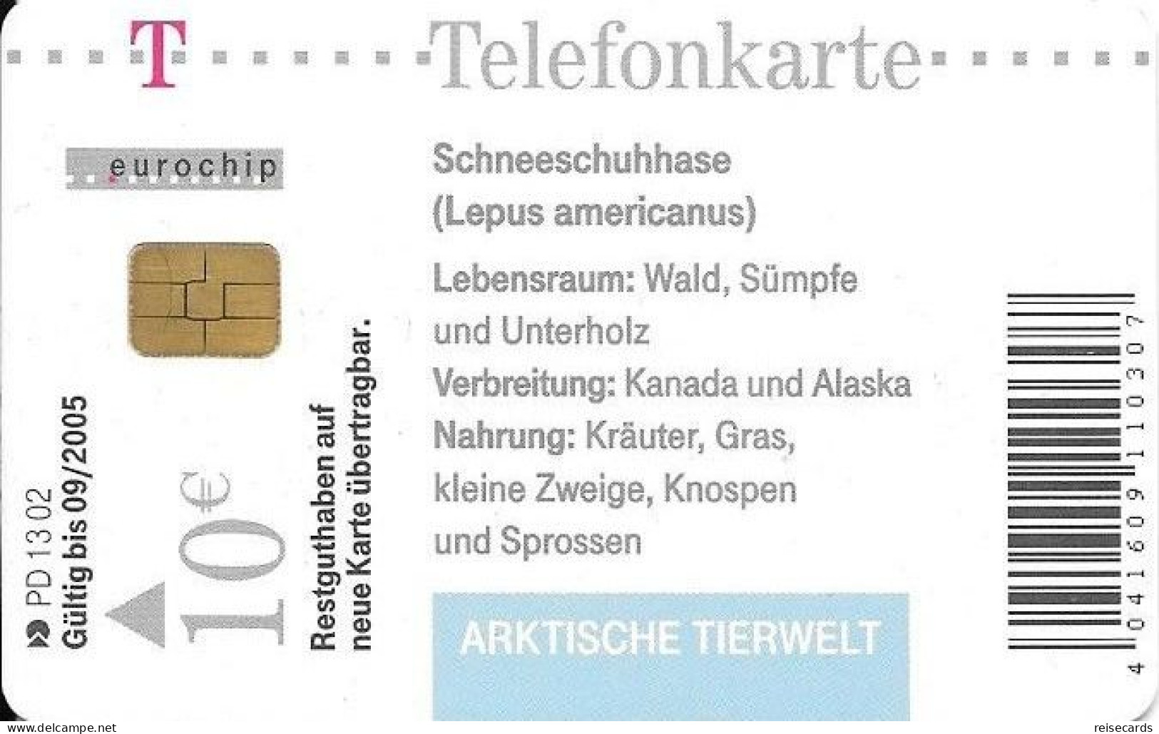 Germany: Telekom PD 13 02 Arktische Tierwelt - Schneeschuhhase - P & PD-Series: Schalterkarten Der Dt. Telekom